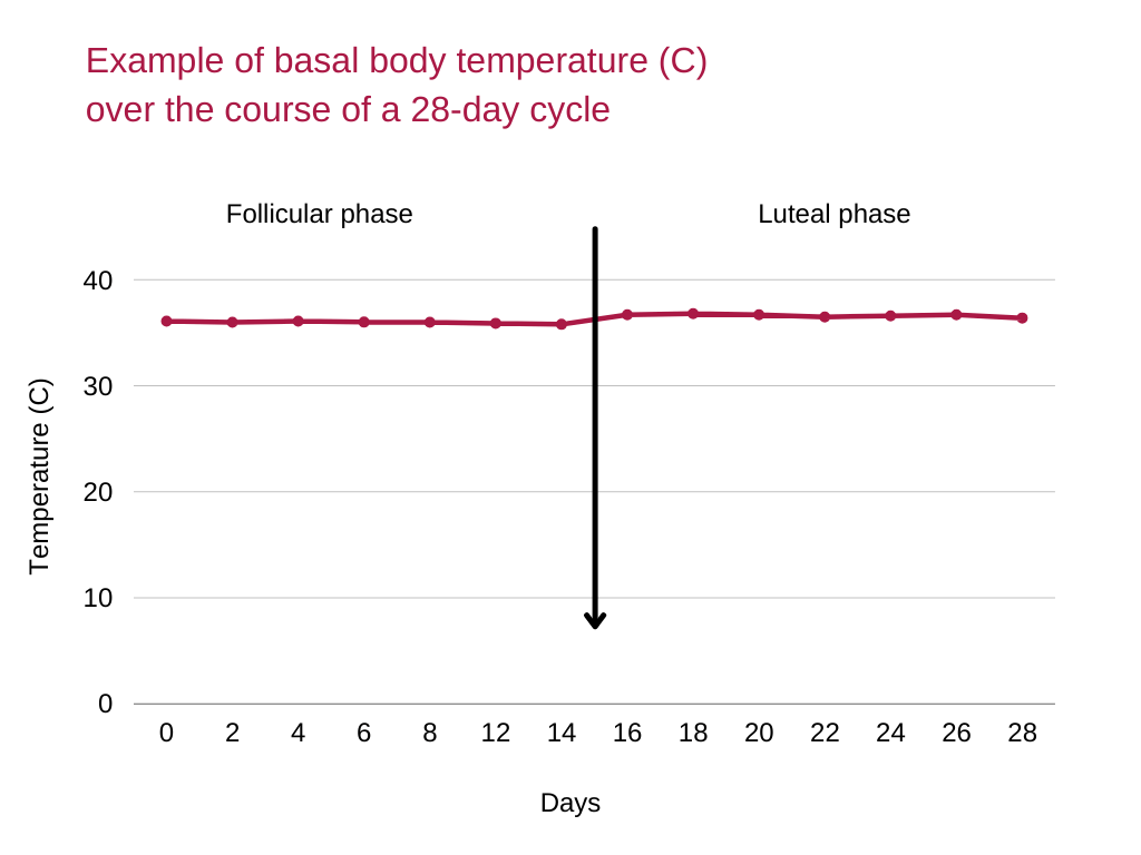 when do you ovulate Example of basal body temperature (C) over the course of a 28-day cycle
