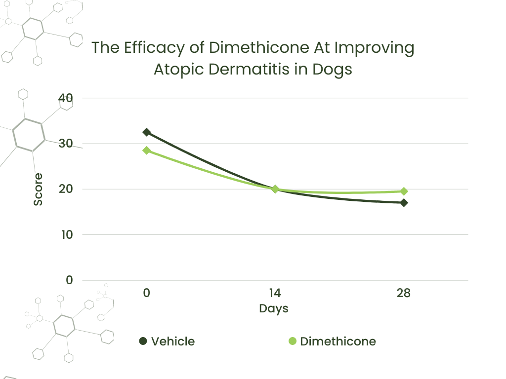 Skinception Illuminatural 6i Review: Dimethicone showed to improve atopic dermatitis in dogs
